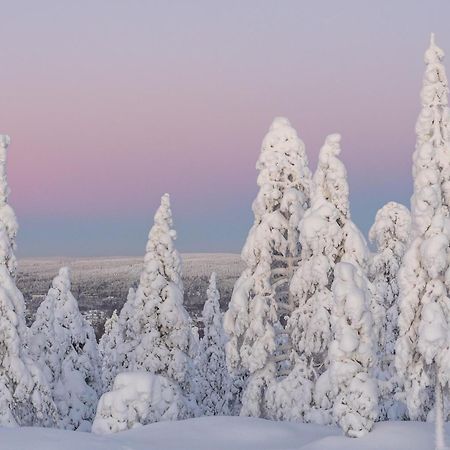 Charming Condo In The Downtown Rovaniemi Dış mekan fotoğraf