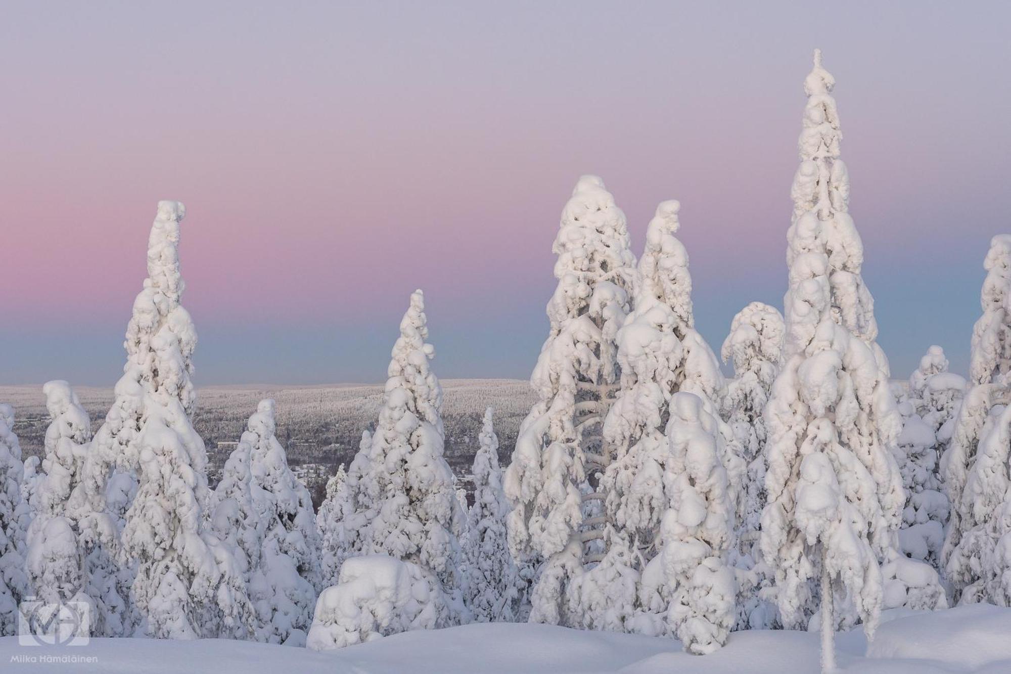 Charming Condo In The Downtown Rovaniemi Dış mekan fotoğraf